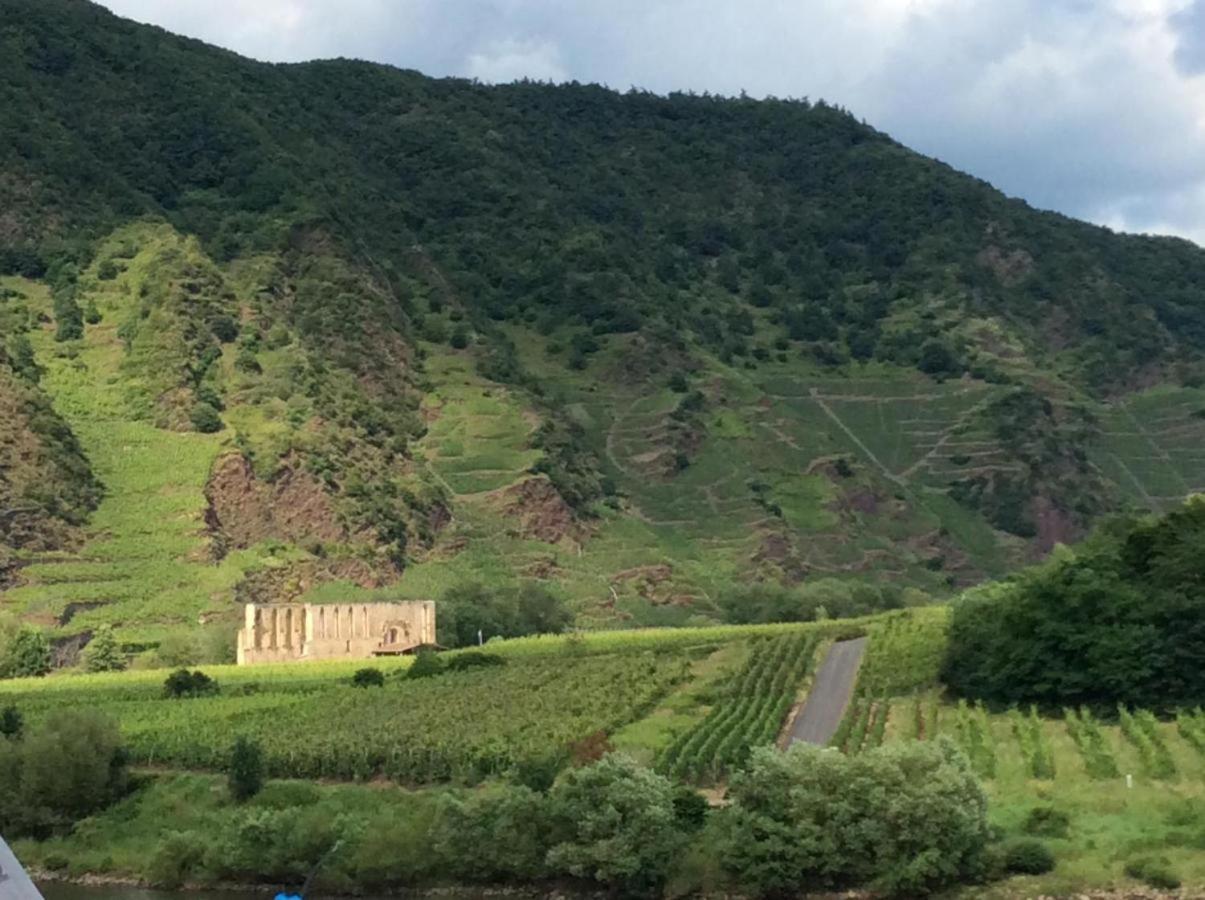 Ferienhaus Mosel 2.0 Bremm Zewnętrze zdjęcie